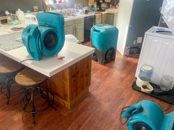 Best Residential water damage restoration  in St James, MN