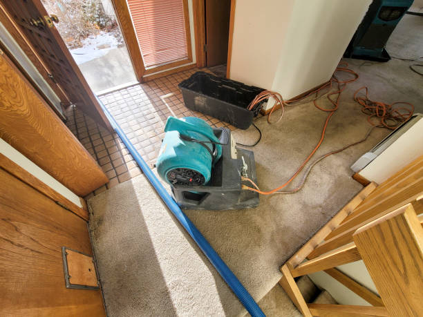 Best Carpet water damage restoration  in St James, MN