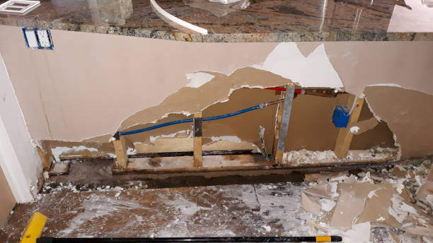 Best Professional water damage repair  in St James, MN