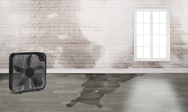 Trusted MN Water damage restoration Experts
