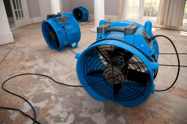 Best Emergency water extraction  in St James, MN