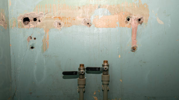 Best Basement water damage restoration  in St James, MN