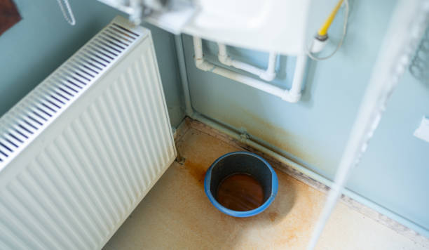 Best Water damage restoration cost  in St James, MN